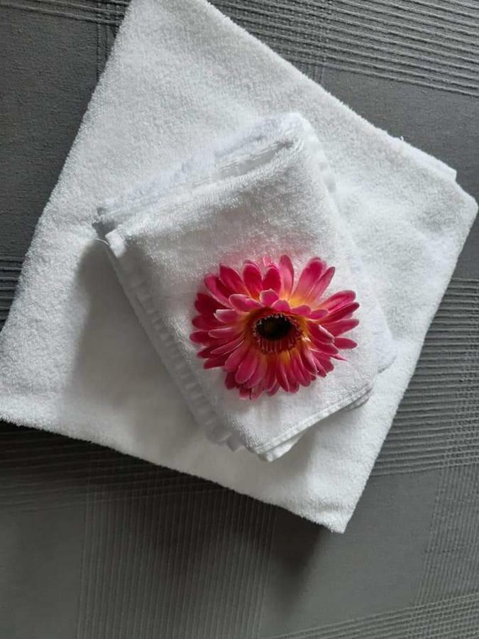 Magnolia Hotel Valmontone Kültér fotó